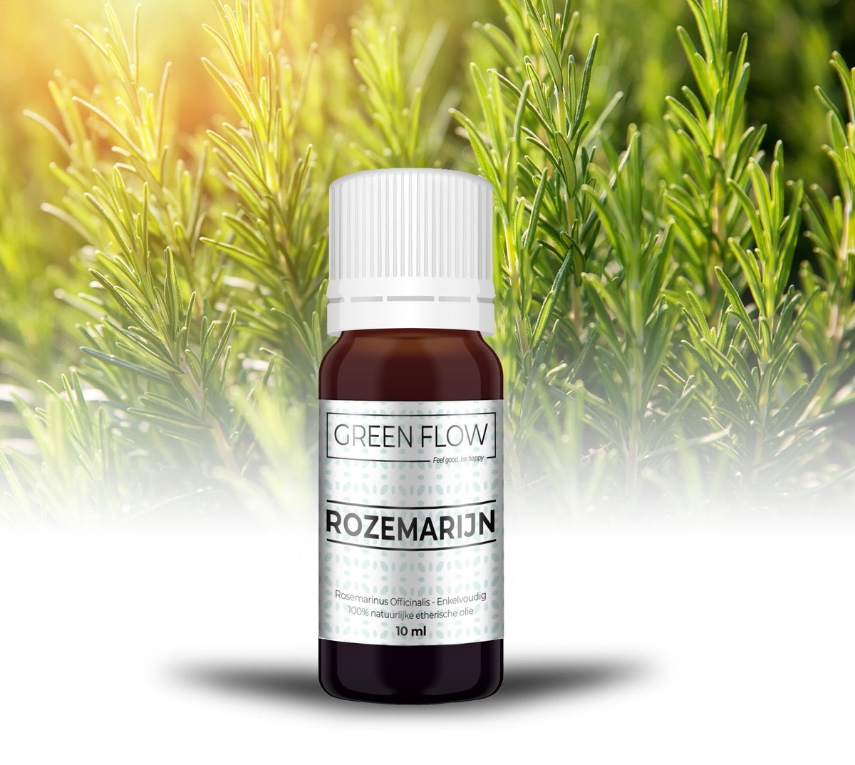 Bruin glazen flesje etherische olie van 10 ml voor een rozemarijnstruik in de zon.