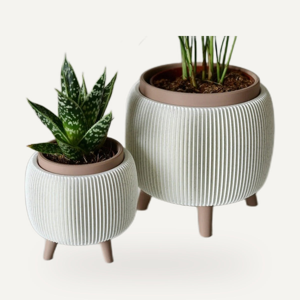 Twee geribbelde plantenpotten op pootjes in wit, beplant met een palm en een vetplant.