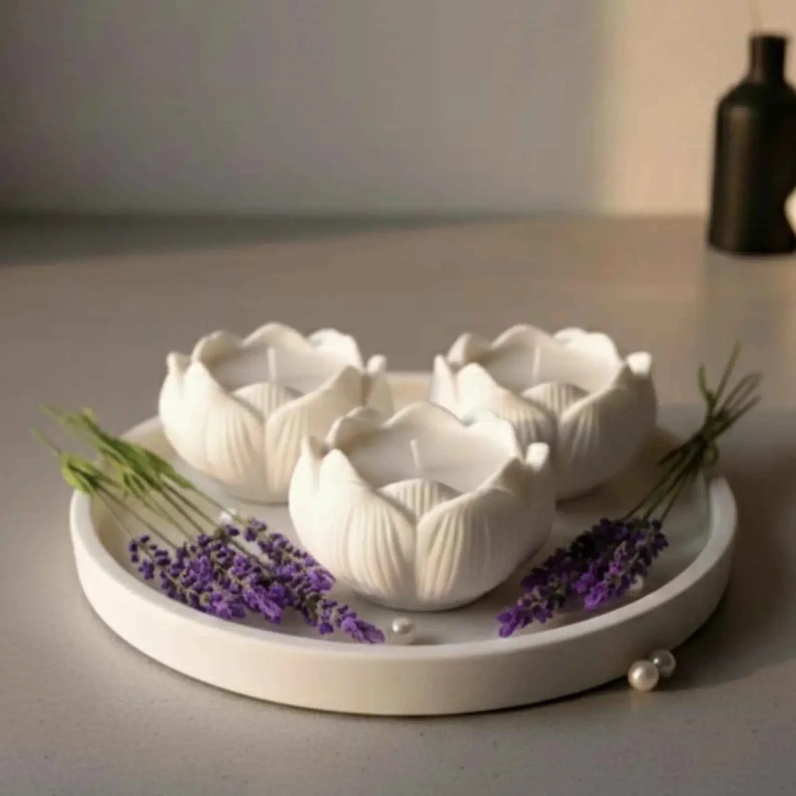 Lavendel Droom