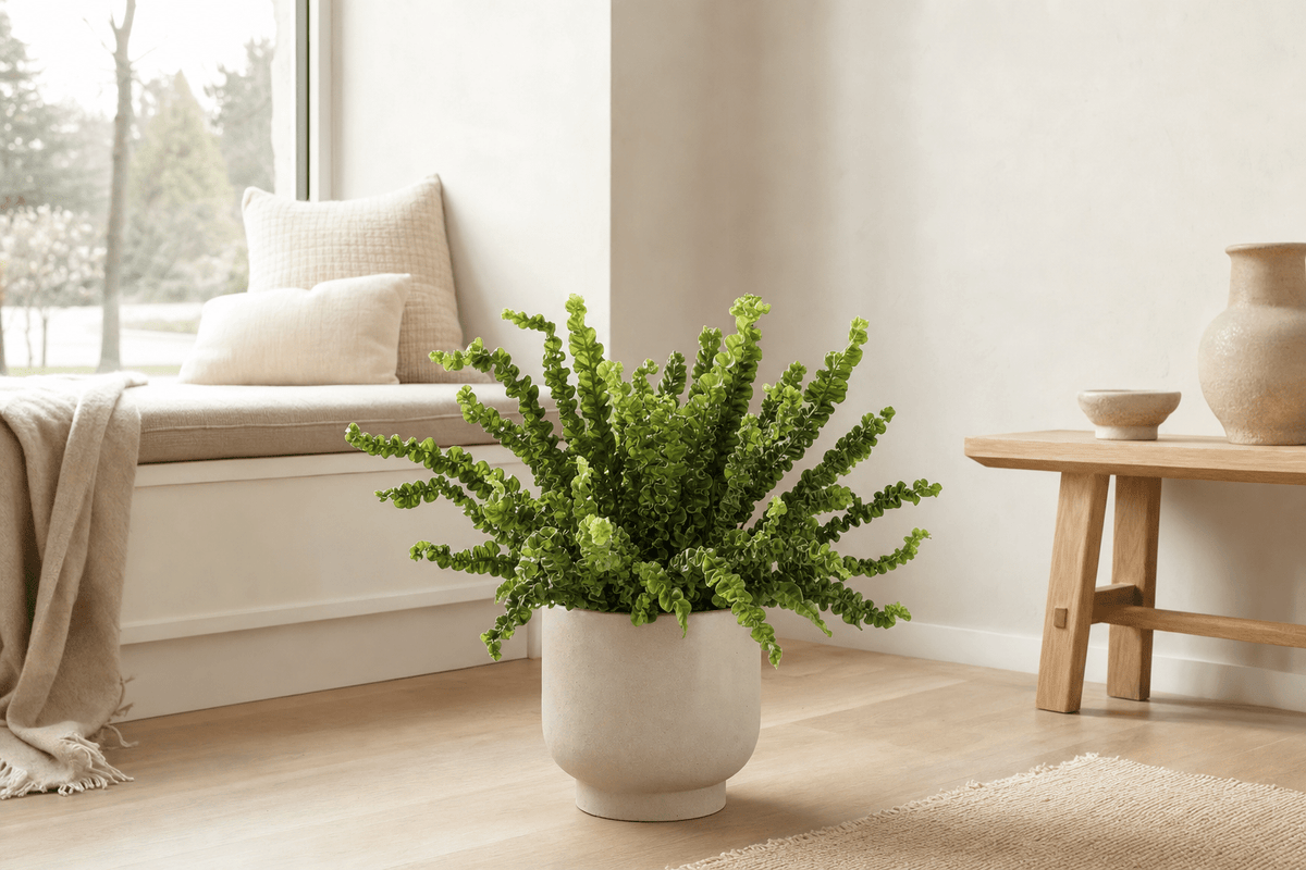 Varen met fris groen blad in een crèmekleurige pot bij een vensterbank met daglicht.