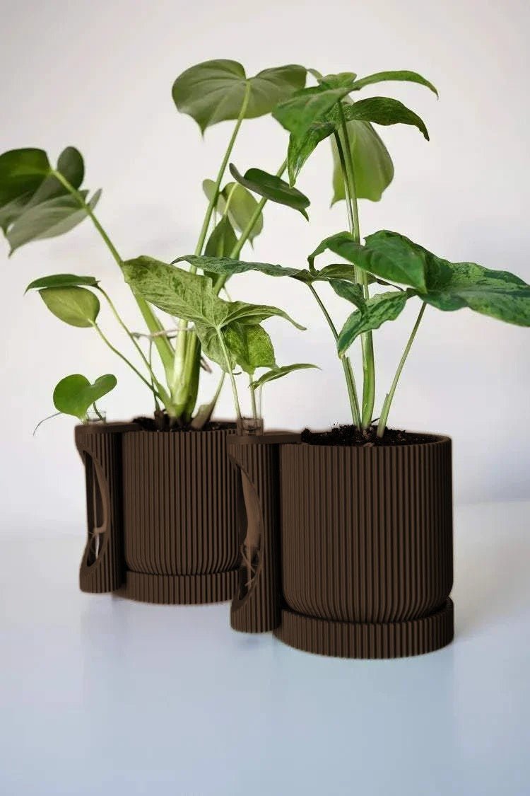 Twee geribbelde plantenpotten met stekhouder in donkerbruin, beplant met een monstera.