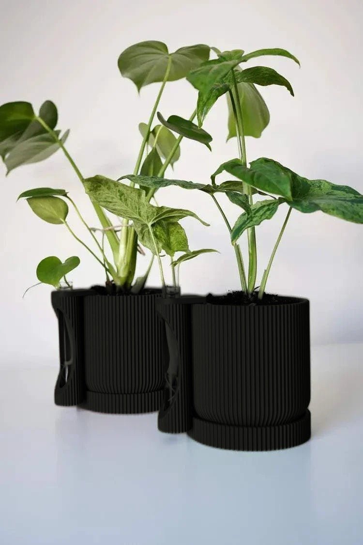 Twee geribbelde plantenpotten met stekhouder in mat zwart, beplant met een monstera.