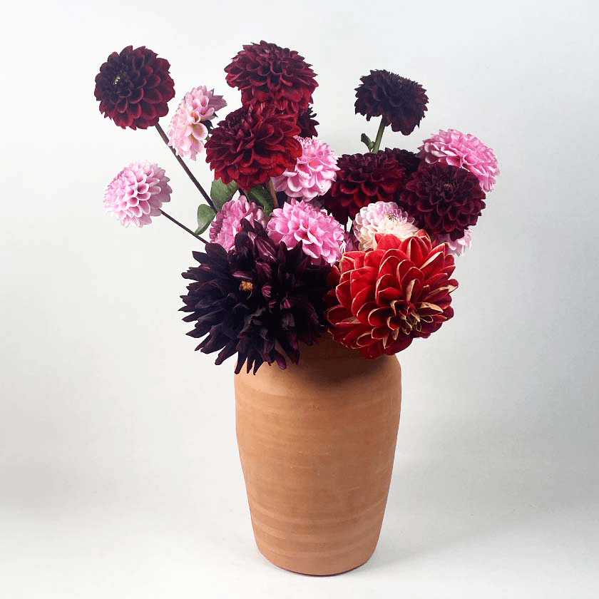 Terracotta keramieken vaas met een boeket dahlia's in roze en donkerrood.