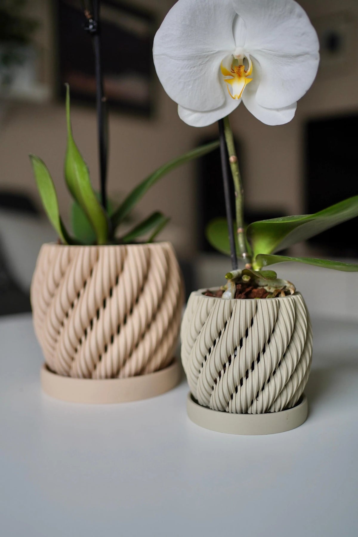 Orchidee Twist orchideeënpot met schotel 8-11 cm