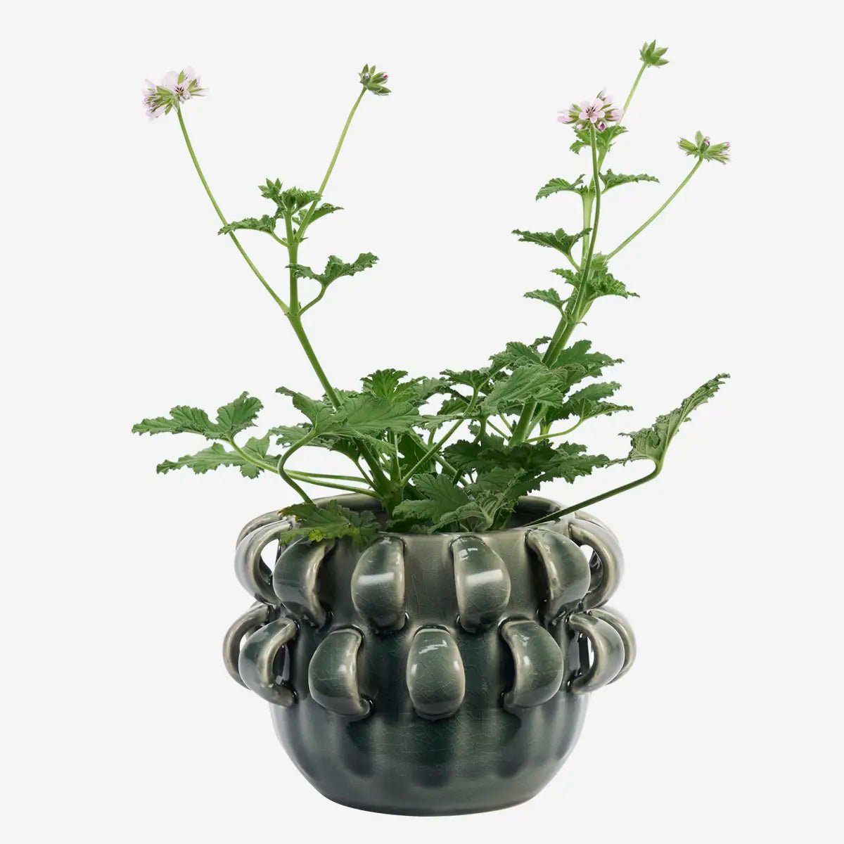 De organische vorm en het opvallende reliëf van ronde, open lussen geven de bloempot een sculpturale uitstraling die direct de aandacht trekt.