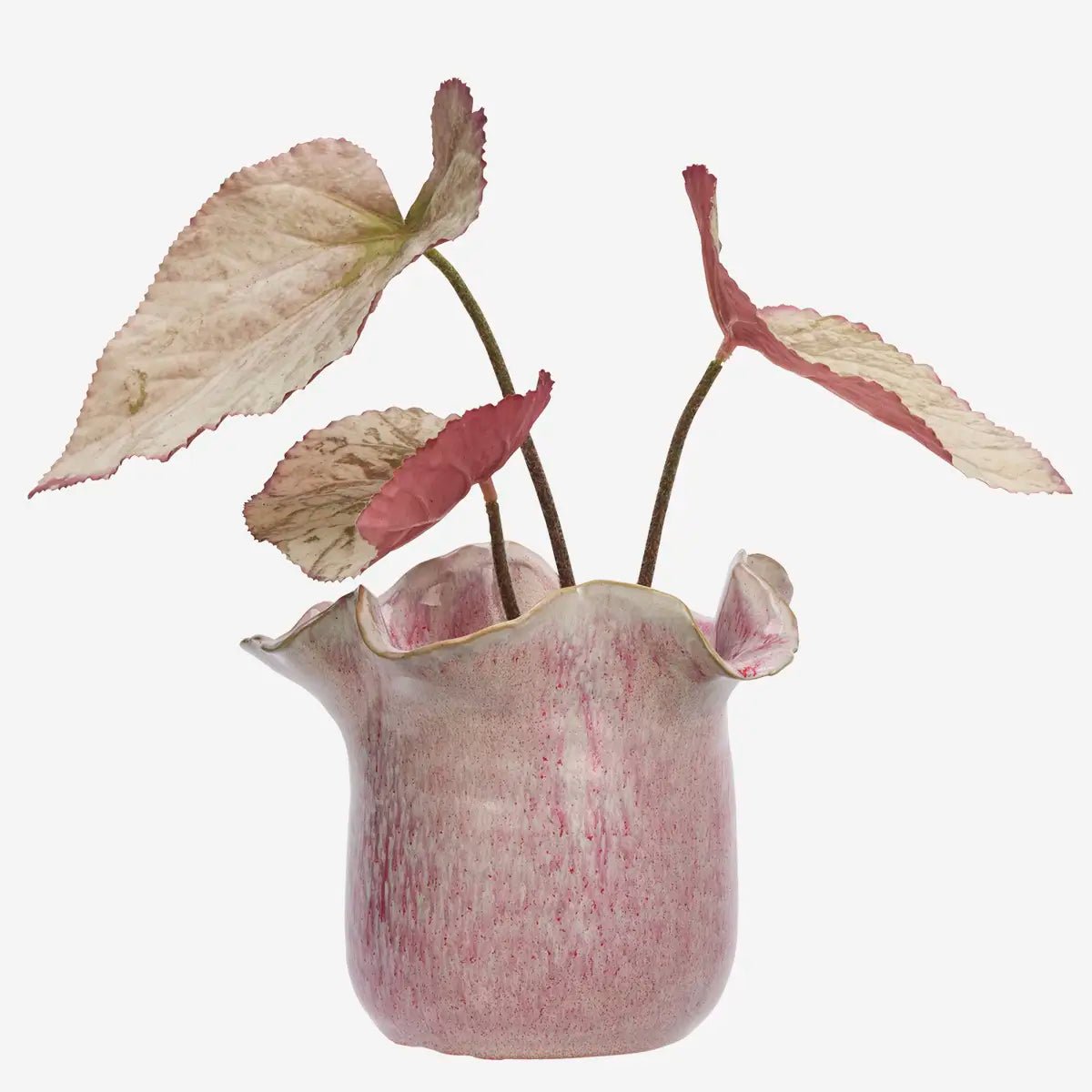 De bloempot is vervaardigd uit steengoed en afgewerkt met een glazuur in roze en off white tinten. 