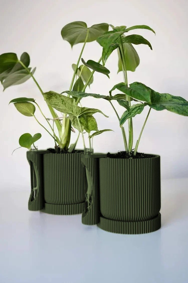 Twee geribbelde plantenpotten met stekhouder in legergroen, beplant met een monstera.
