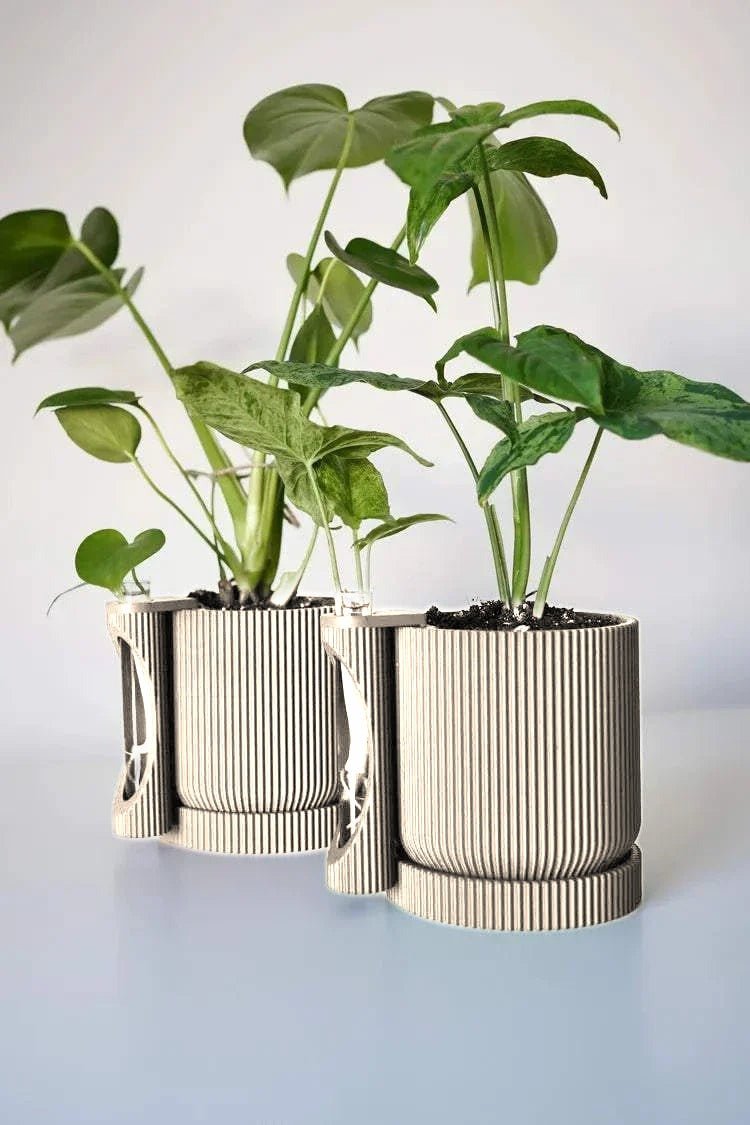 Twee geribbelde plantenpotten met stekhouder in mat wit, beplant met een monstera.