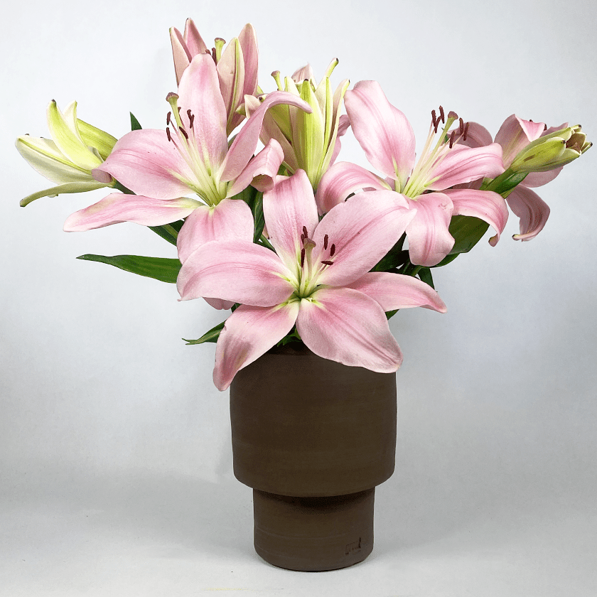 Chocoladebruine keramieken vaas op voet met roze lelies.