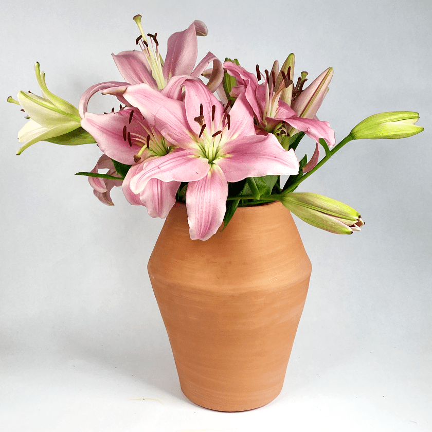 Terracotta keramieken vaas met roze lelies.